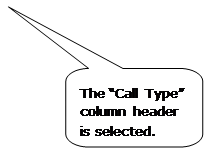 Rounded Rectangular Callout: The “Call Type” column header is selected. Rounded Rectangular Callout: The “Call Type” column header is selected.