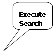 Rounded Rectangular Callout: Execute Search