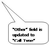 Rounded Rectangular Callout: “Other” field is updated to “Call Type”