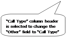 Rounded Rectangular Callout: “Call Type” column header is selected to change the “Other” field to “Call Type”